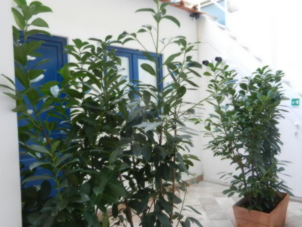 My Suite סורנטו חדר תמונה
